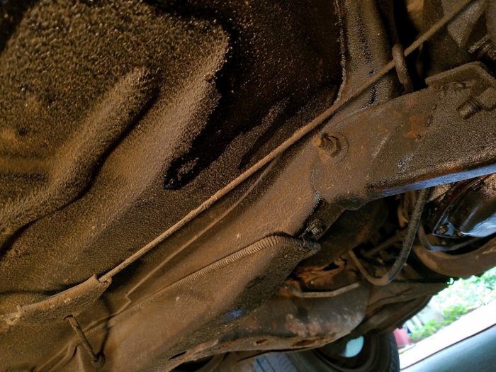 20180902_161740r.jpg