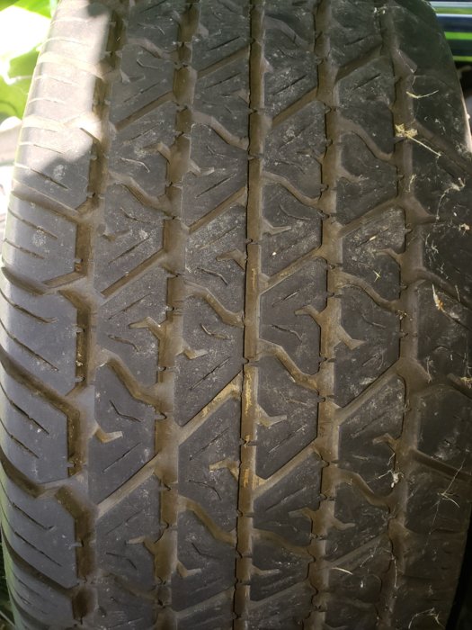 20181013_095745.jpg