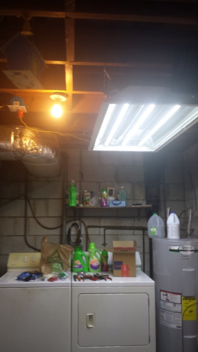 20190201_122743.jpg