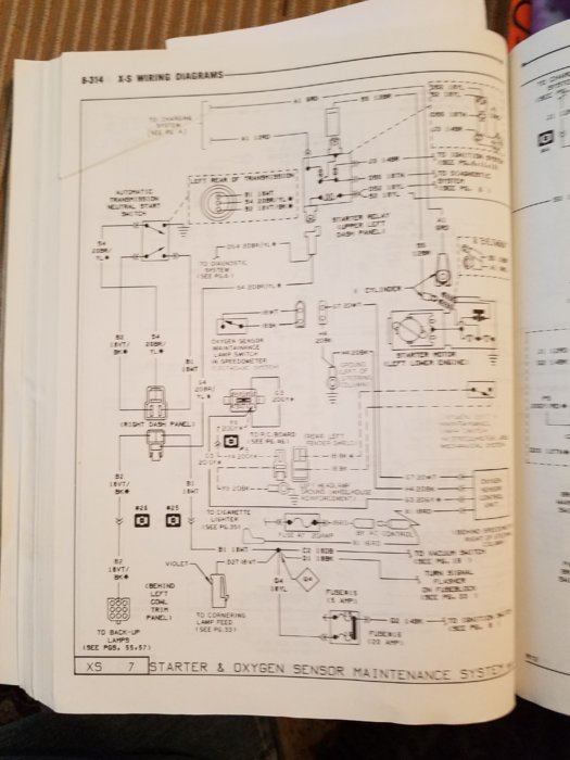 20190312_180304.jpg