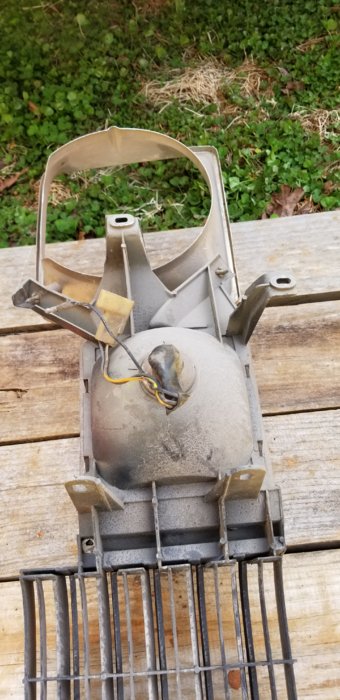 20190316_105454.jpg