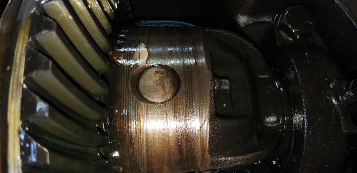 20190714_112519.jpg