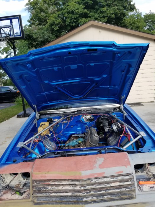 20190813_165423.jpg