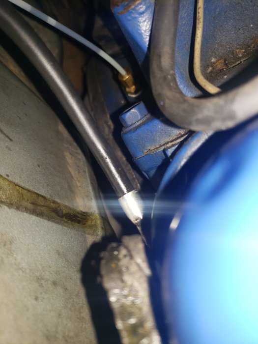20190925_232249.jpg