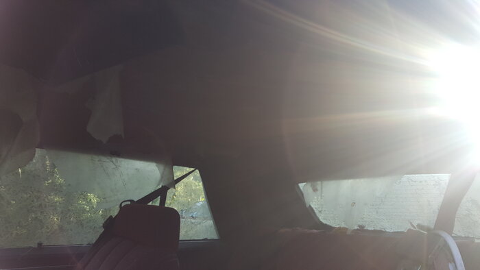 20200906_183152.jpg