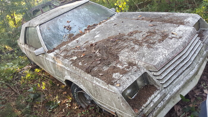 20200906_183223.jpg