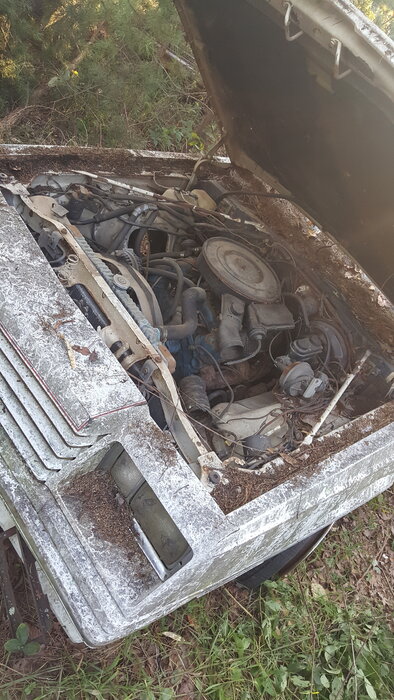 20200906_183359.jpg