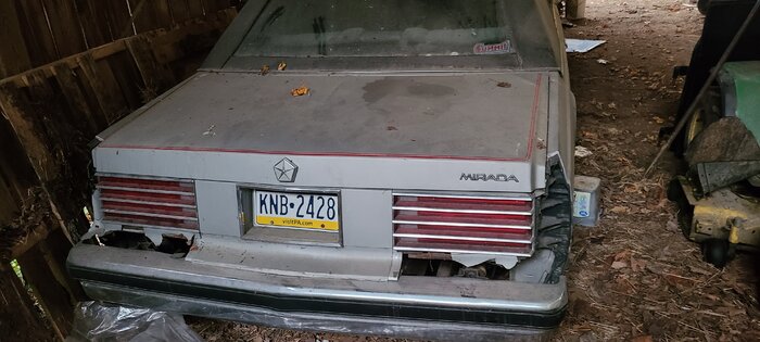 20201011_181630.jpg