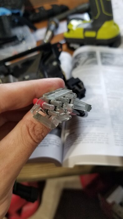 20210730_184748.jpg