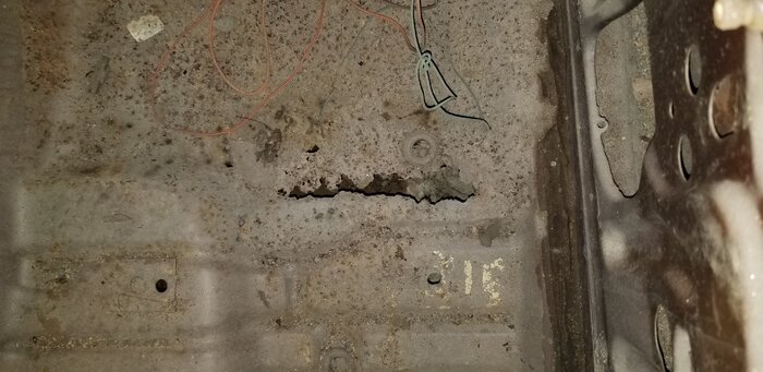 20220601_161359.jpg