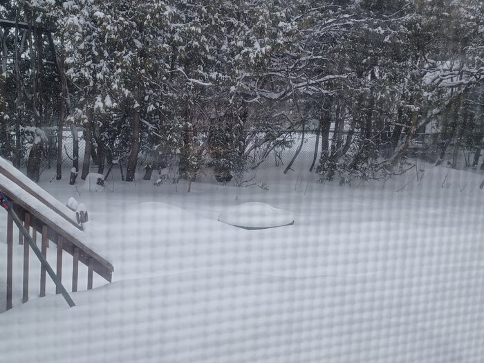 20230304_122011.jpg