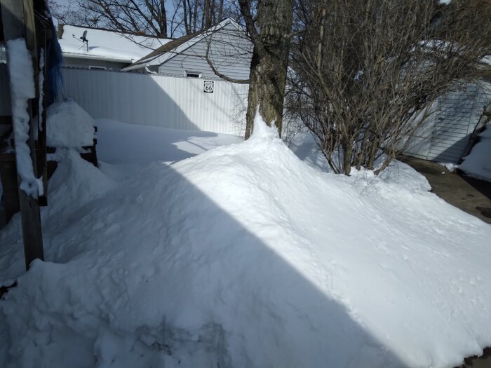 20230315_102836.jpg