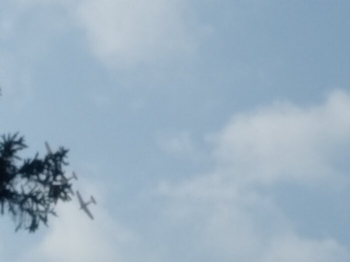 20230616_175953.jpg