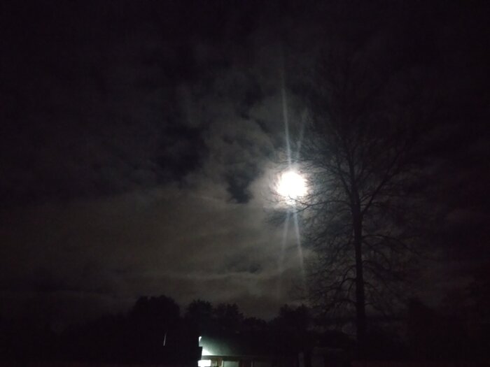 20231027_200055.jpg