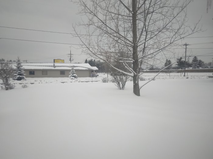 20240325_073801.jpg