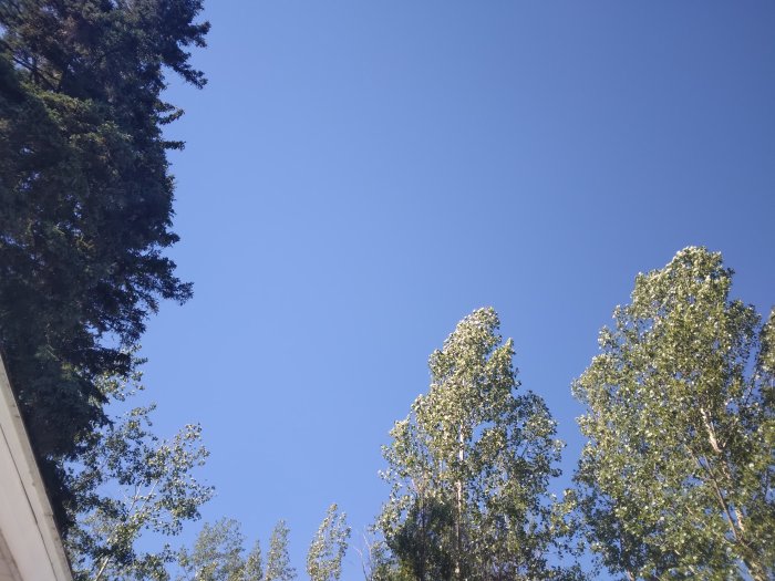 20240610_161705.jpg