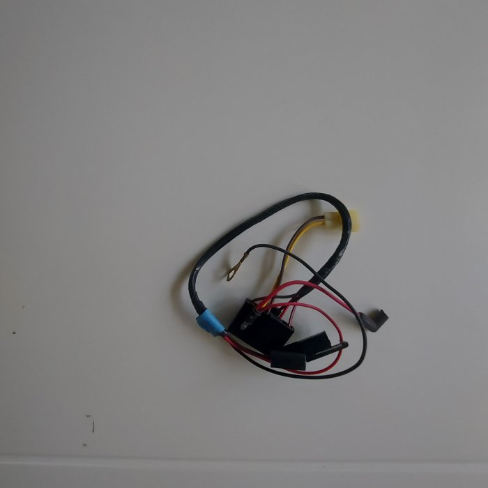 20240913_082531.jpg