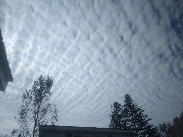20241003_110716.jpg