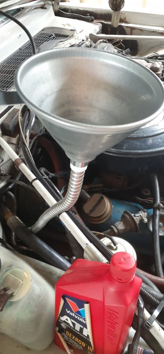20241111_135403.jpg