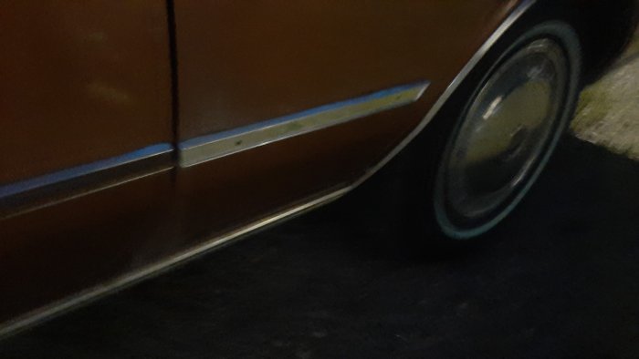 20250608_215548.jpg