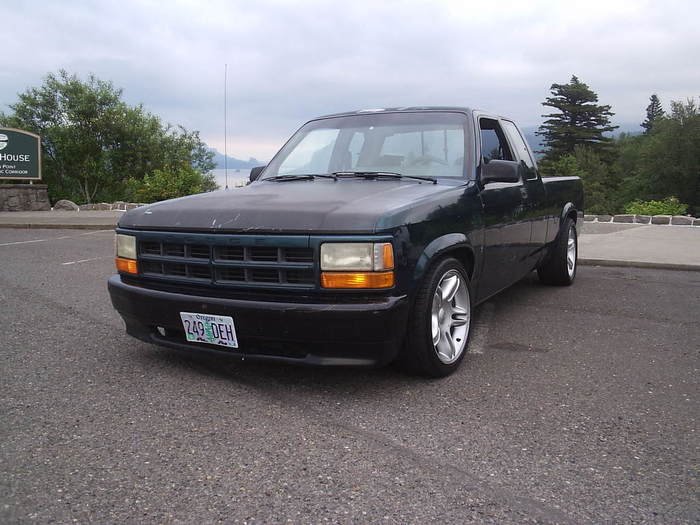 31635340033_large.jpg