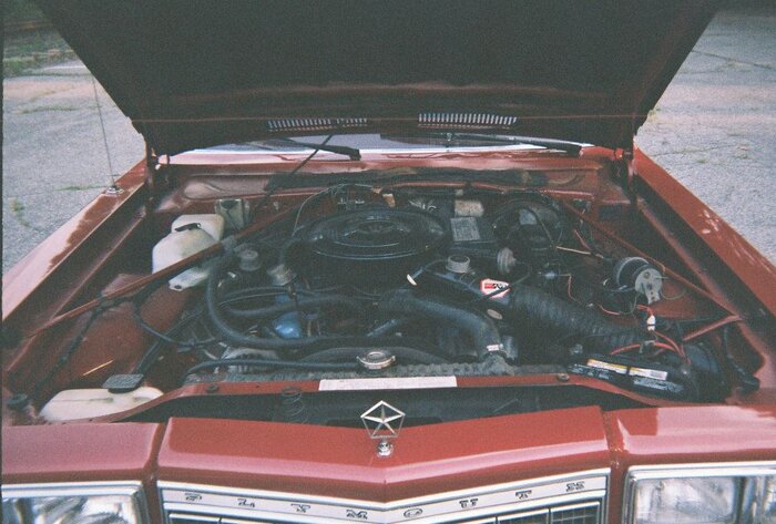 3182ndpic12.jpg
