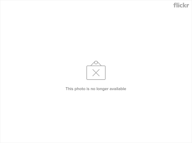 35979689896_d57d475651_z.png