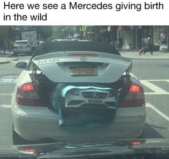 3D76B42A-37AC-4953-B564-91DD3E5787C9.jpeg
