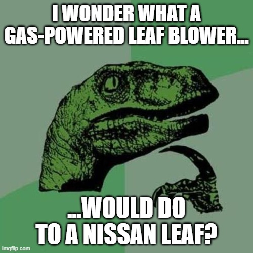3vq4jj.jpg