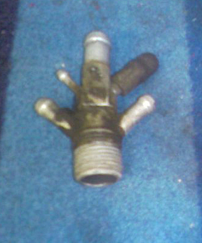 4026119.jpg