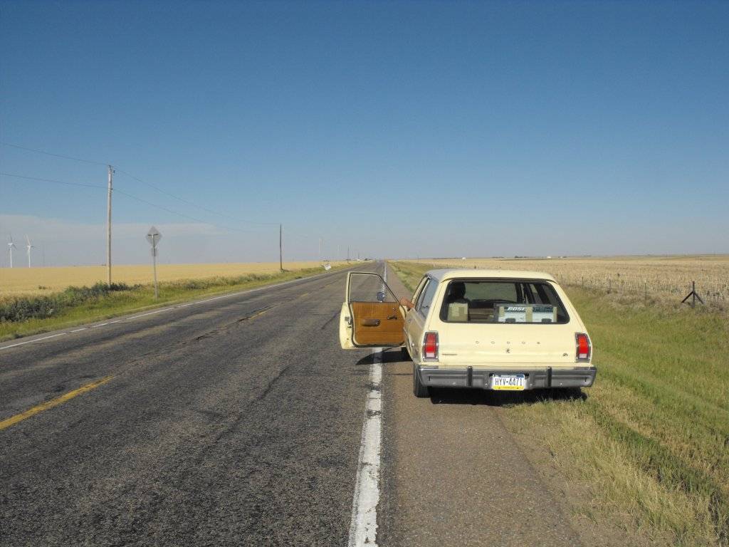 456.JPG
