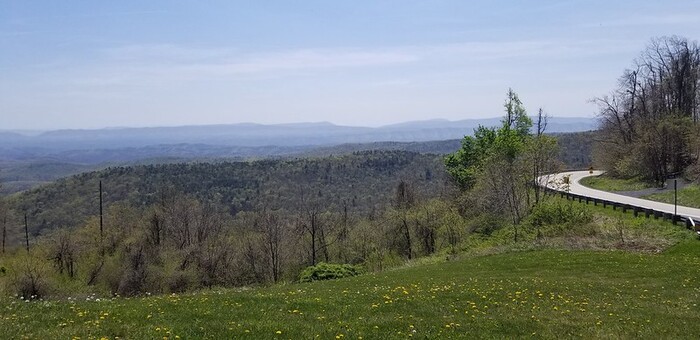 52832931067_49d0129b4d_c.jpg