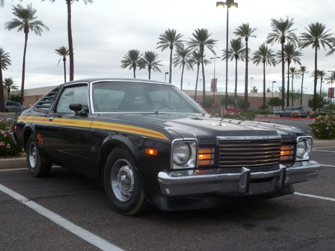 6e26440d-ac6f-4fc2-9b69-f84edfffc1ec.jpg