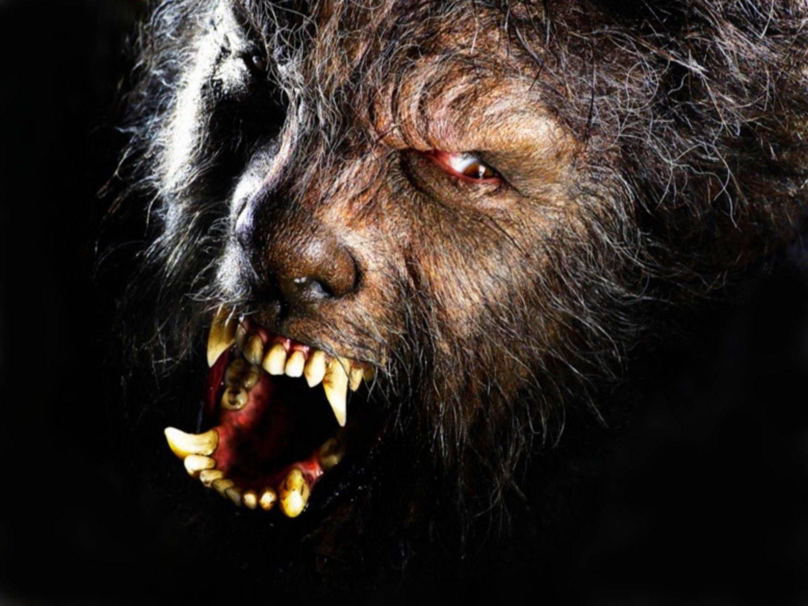 7-bloodcurdling-werewolf-tales-that-will-keep-you-up-at-night-390676.jpg