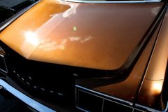 731E0AD6-orig.jpg
