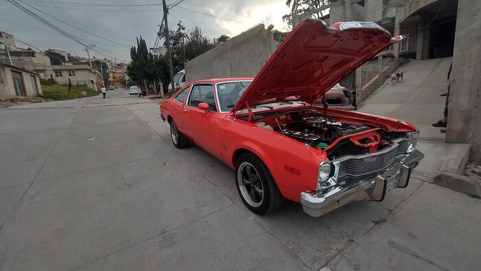 77dary-EDOMEX-orangeA-04.jpg