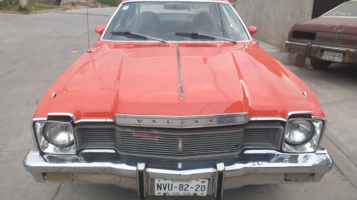 77dary-EDOMEX-orangeA-11.jpg