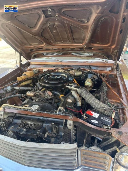 78dartwagon-JAL-brown6-05-eng.jpg