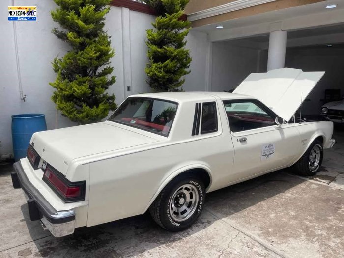 80dart-EDO-white7-01-rr.jpg