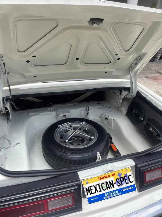 80dart-EDO-white7-10-trunk.jpg