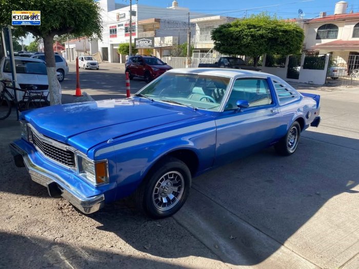 80superbee-CUL-blueI-01-lf.jpg