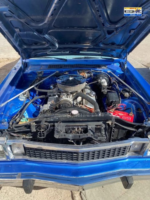80superbee-CUL-blueI-04-eng.jpg