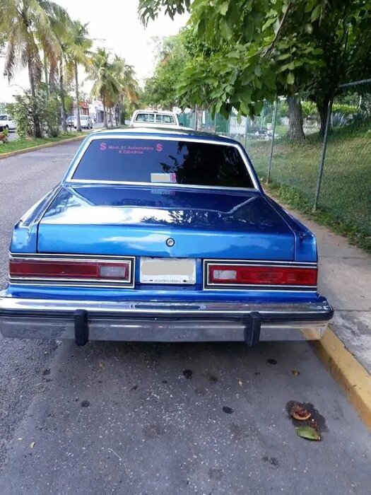 81-07-rear.jpg