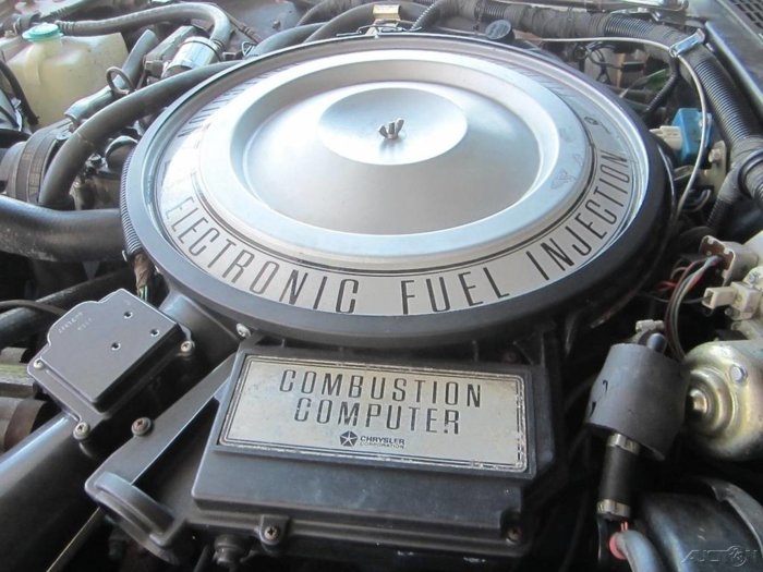 81 Imperial Underhood.jpg