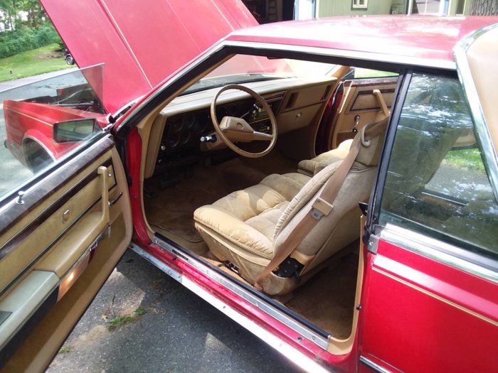 81Cord04.jpg