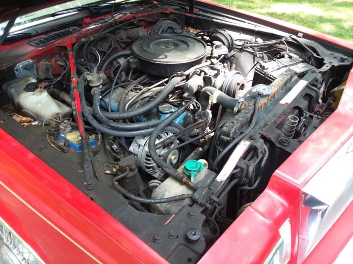 81Cord05.jpg