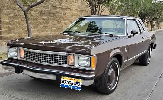 81DART-brown-GTO2-01-lf.jpg