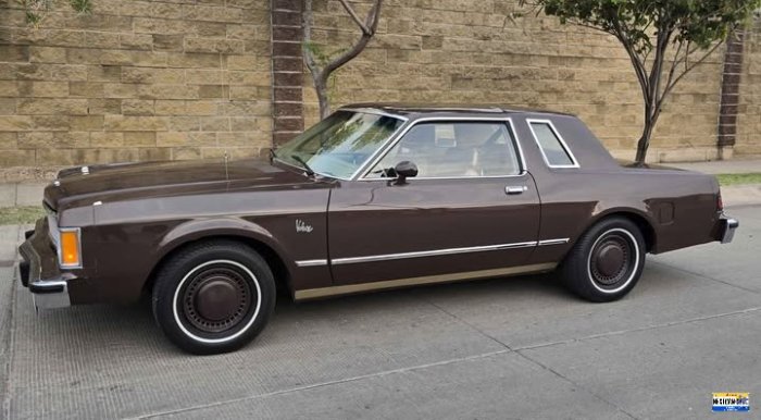 81DART-brown-GTO2-02-left.jpg
