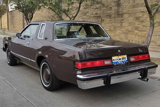 81DART-brown-GTO2-03-lr.jpg