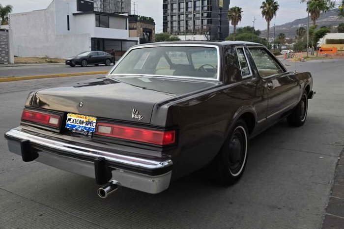 81DART-brown-GTO2-04-rr.jpg